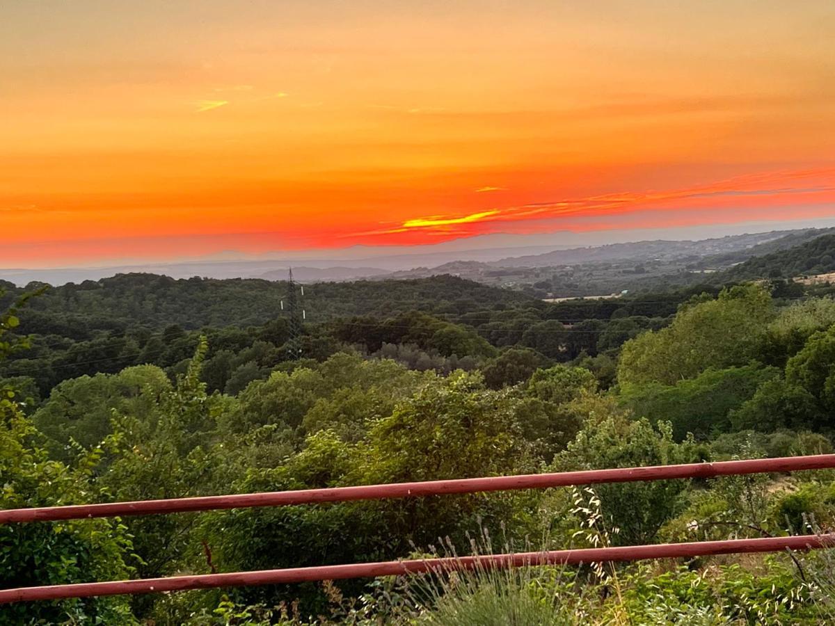 B&B Il Tramonto Barbarano Romano Buitenkant foto