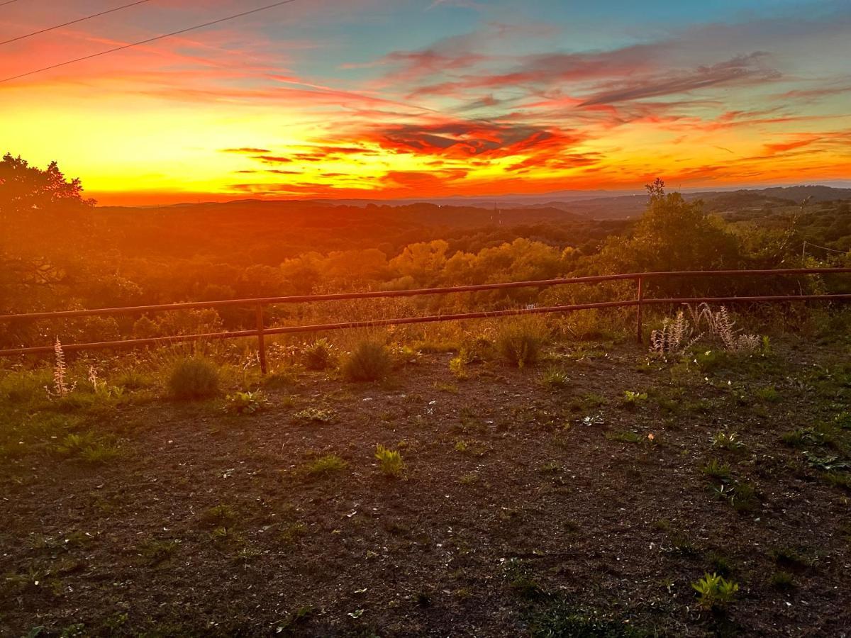 B&B Il Tramonto Barbarano Romano Buitenkant foto