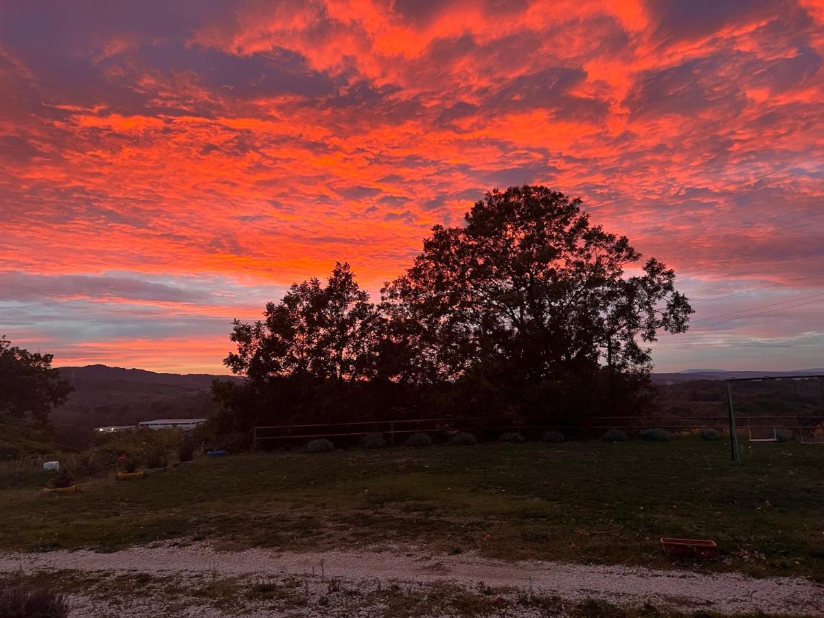 B&B Il Tramonto Barbarano Romano Buitenkant foto