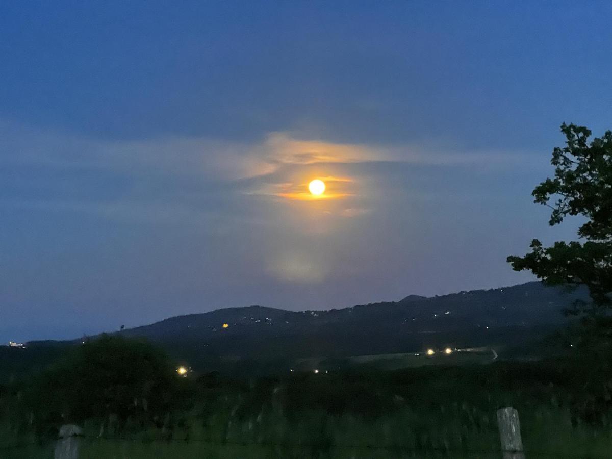 B&B Il Tramonto Barbarano Romano Buitenkant foto